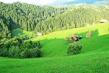Vara in Bran